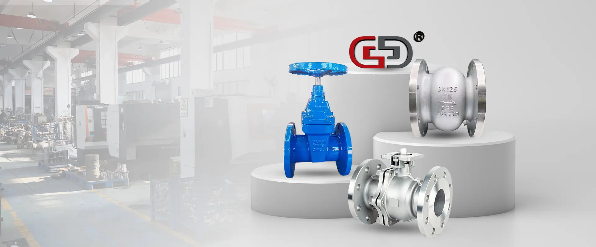 Check Valve Factory