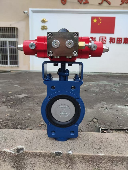 Excentrische vlinderklep met hydraulische aandrijving